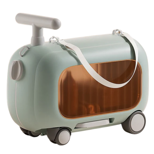 Toddler Ride-on Travel Bag