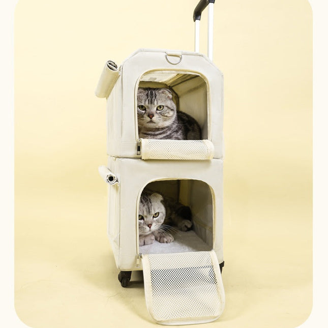 Pet carrier with two cats inside on a light yellow background
